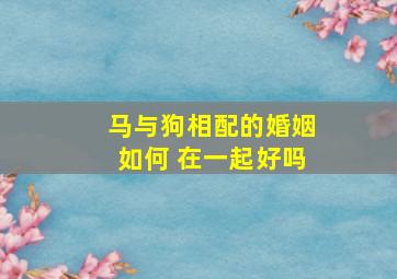 马与狗相配的婚姻如何 在一起好吗